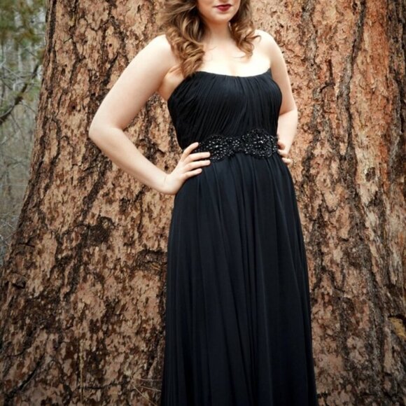 EUC Theia Black Beaded Fit and Flare Flowy Gorgeous Gown - Women's 10 - Picture 11 of 13